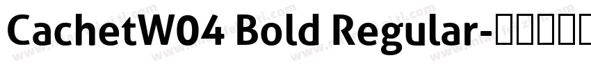 CachetW04 Bold Regular字体转换